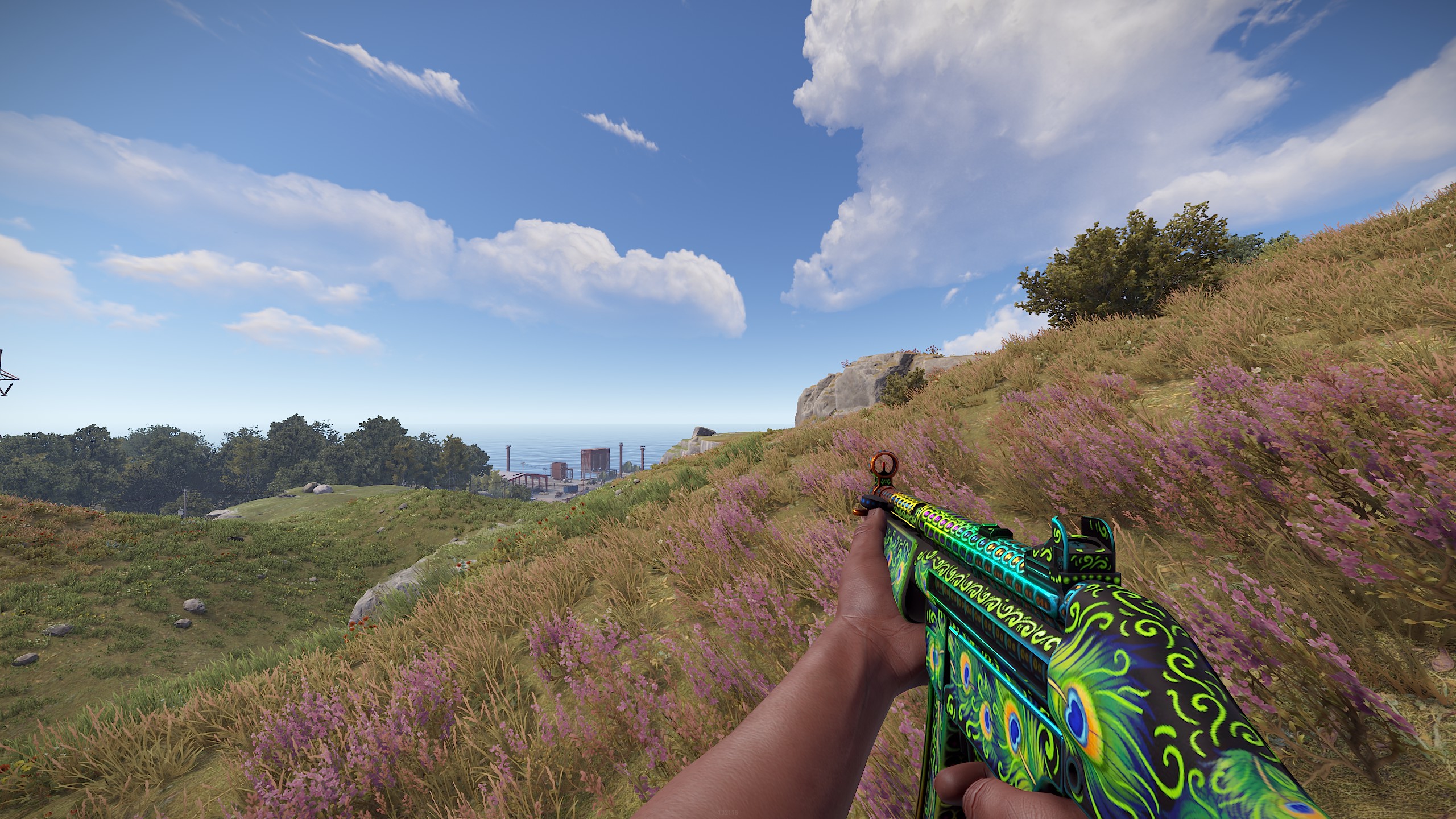 Bird of Luck MP5