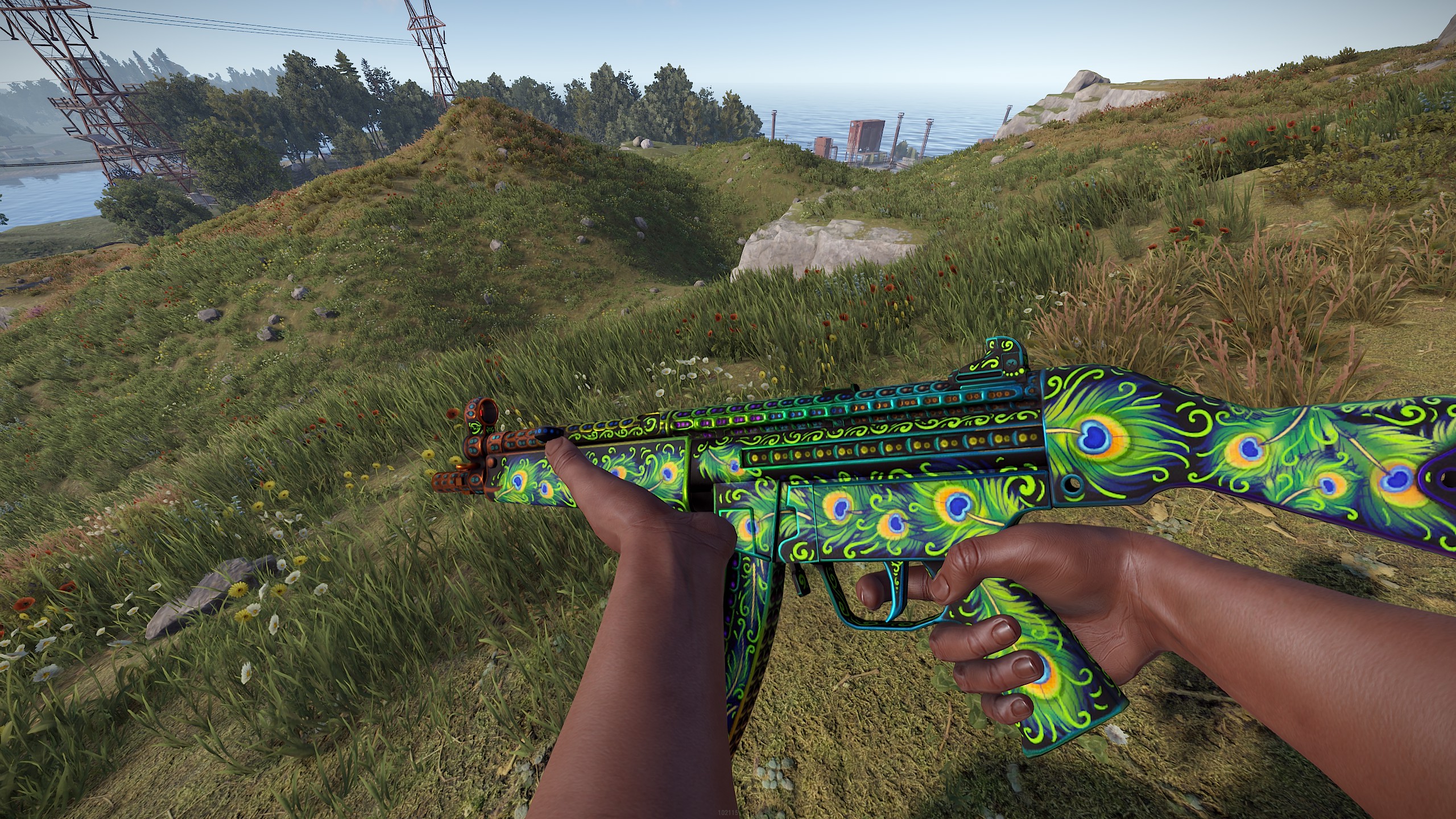 Bird of Luck MP5