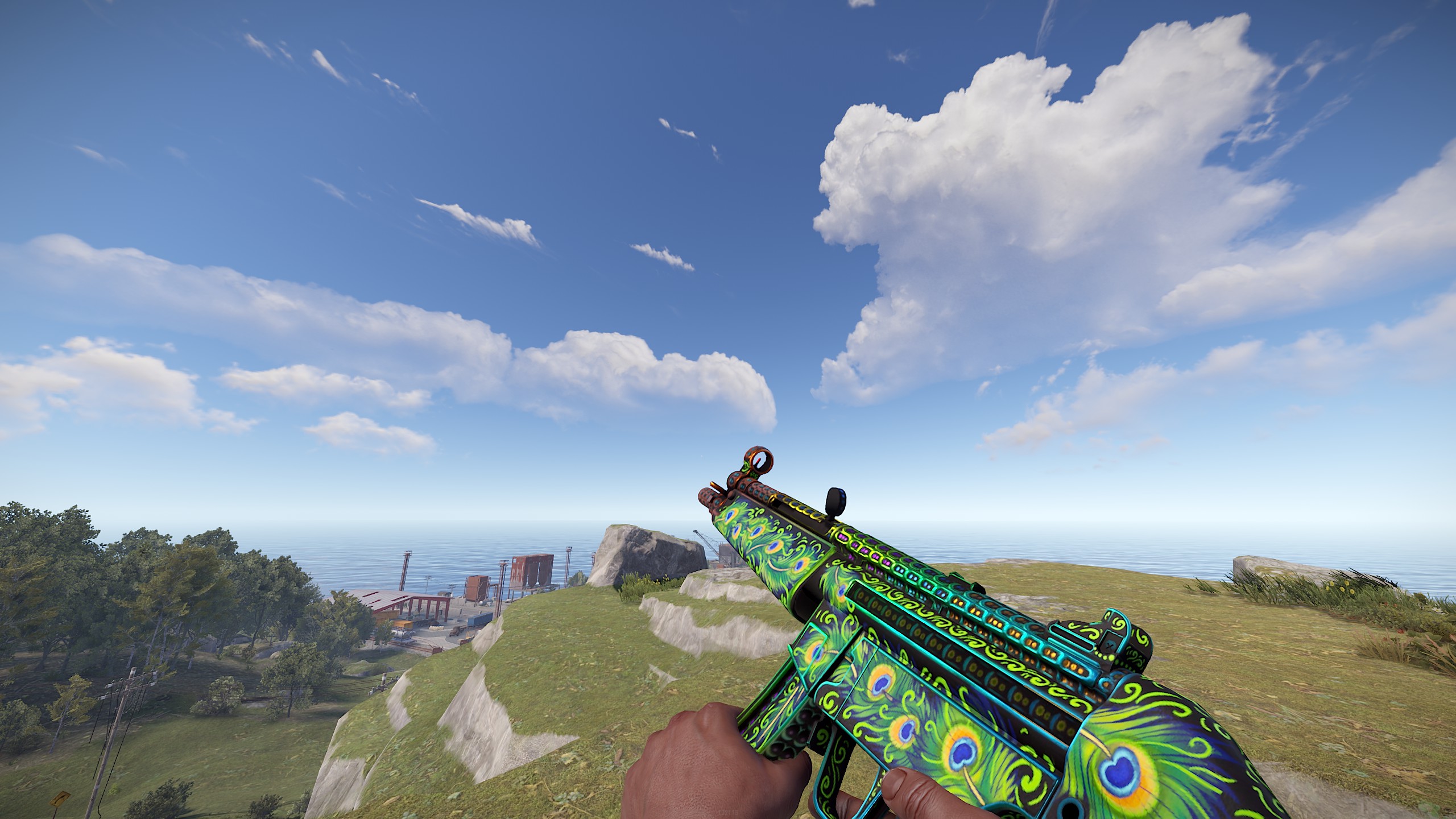 Bird of Luck MP5