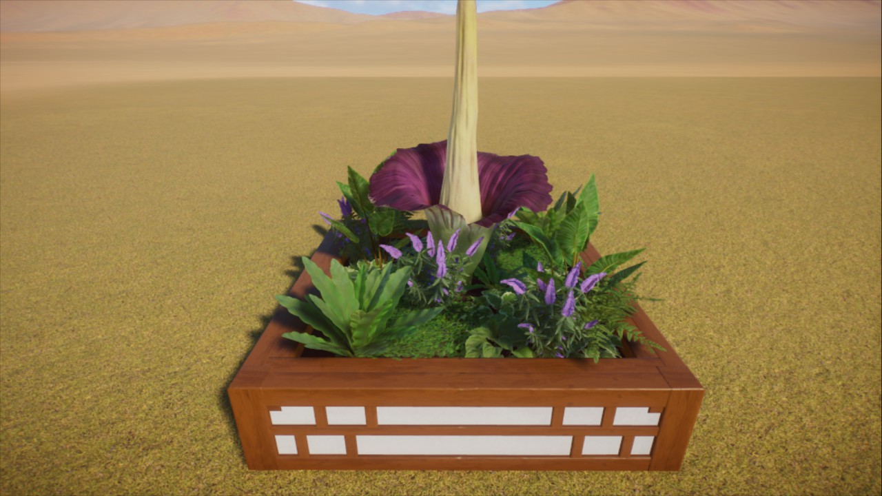 Small Titan Arum Planter
