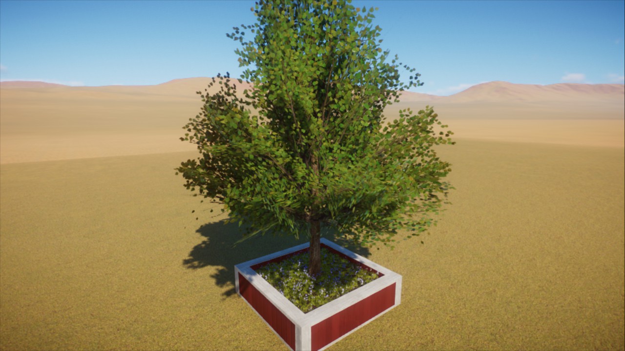 Rustic Aster Planter