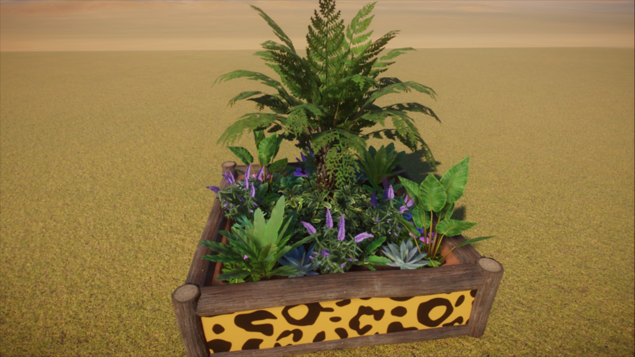 Africa Fern Planter