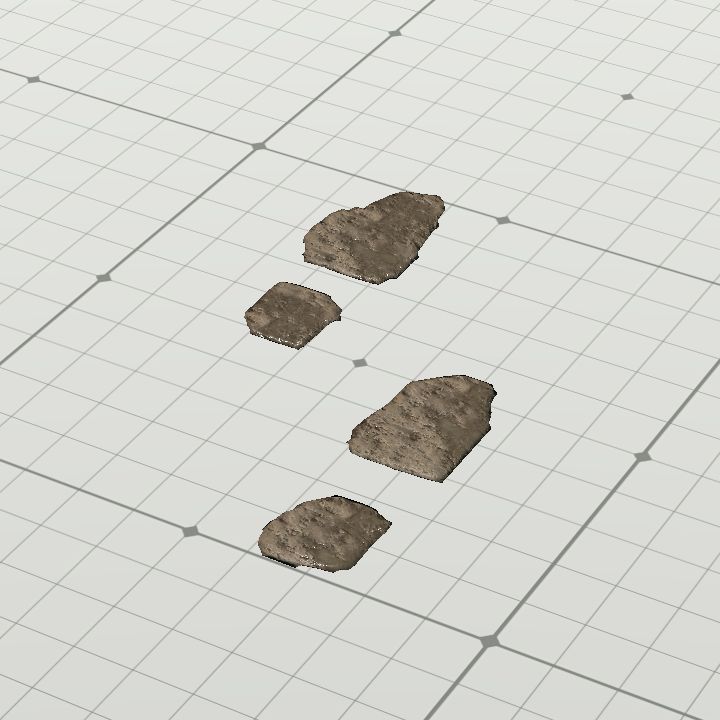 Mud footprints (pair)