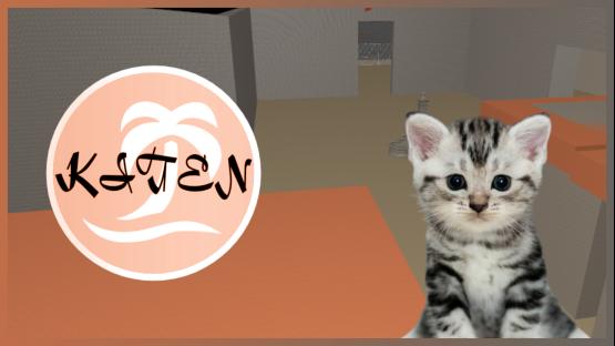 KITEN DEATHMATCH – Counter-Strike 2 Mod