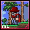 Town NPCs invincible