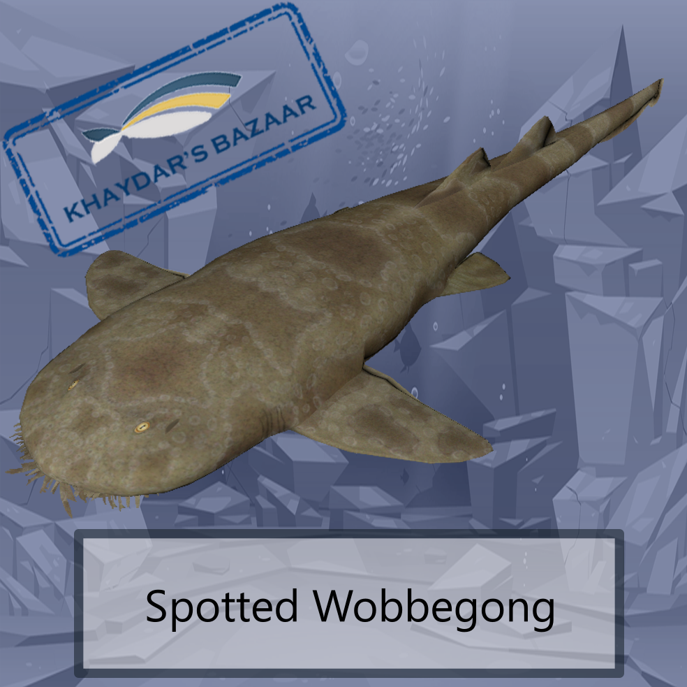Khaydar's Bazaar - Spotted Wobbegong