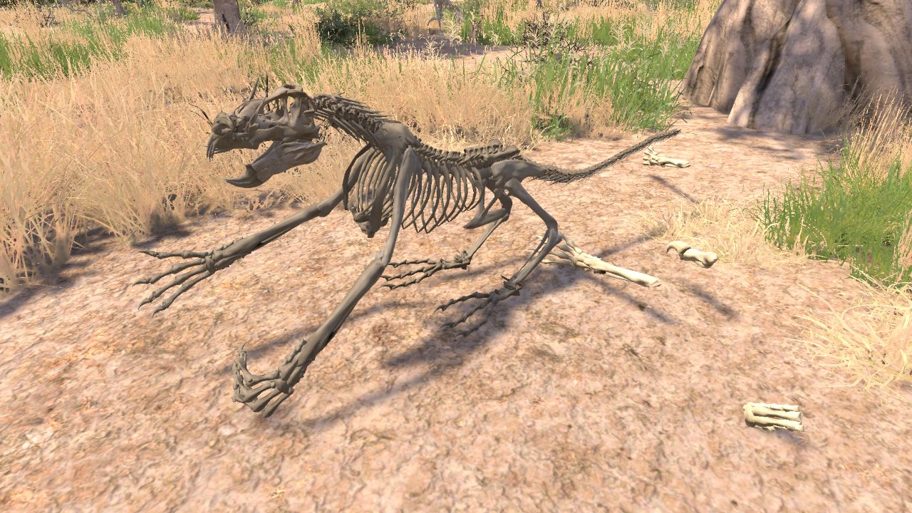 danosirus corelsis