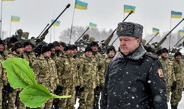 [Coop1-16]Ukraine.Грибники(Remastered)