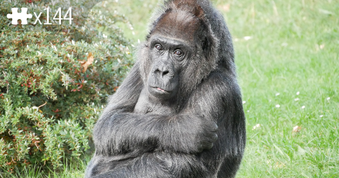 Zoo Berlin