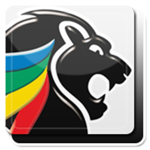 South Africa 24-25
