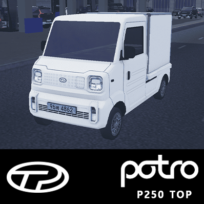 2020 DPECO Potro P250 Top