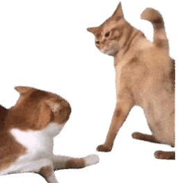 ForceAttack