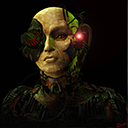 BORGs