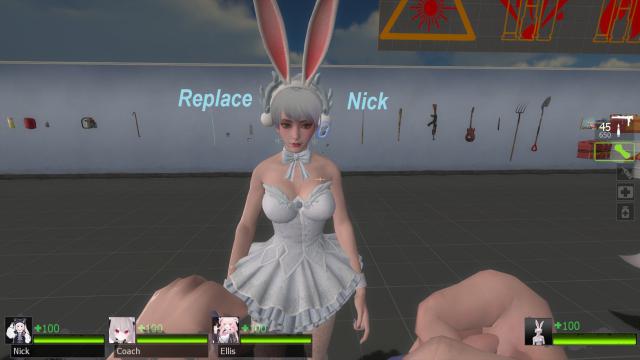 Bunny Girl Haiwei (Nick)
