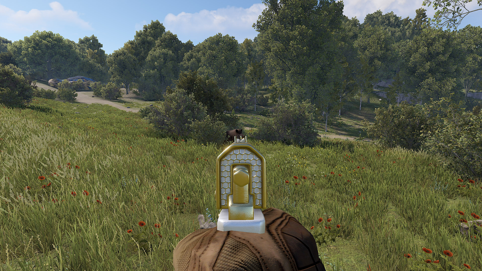 Thundergold SAP