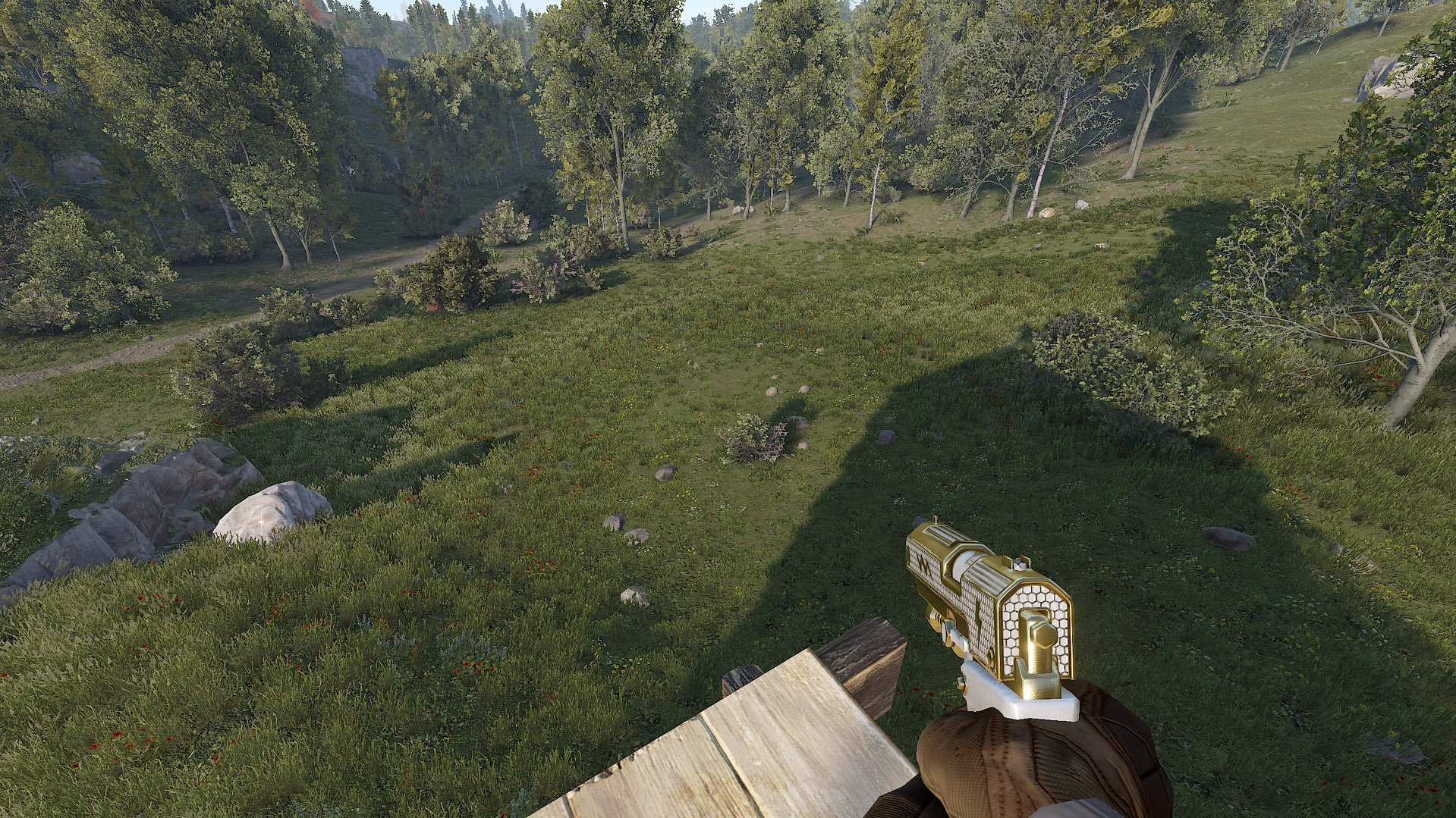 Thundergold SAP