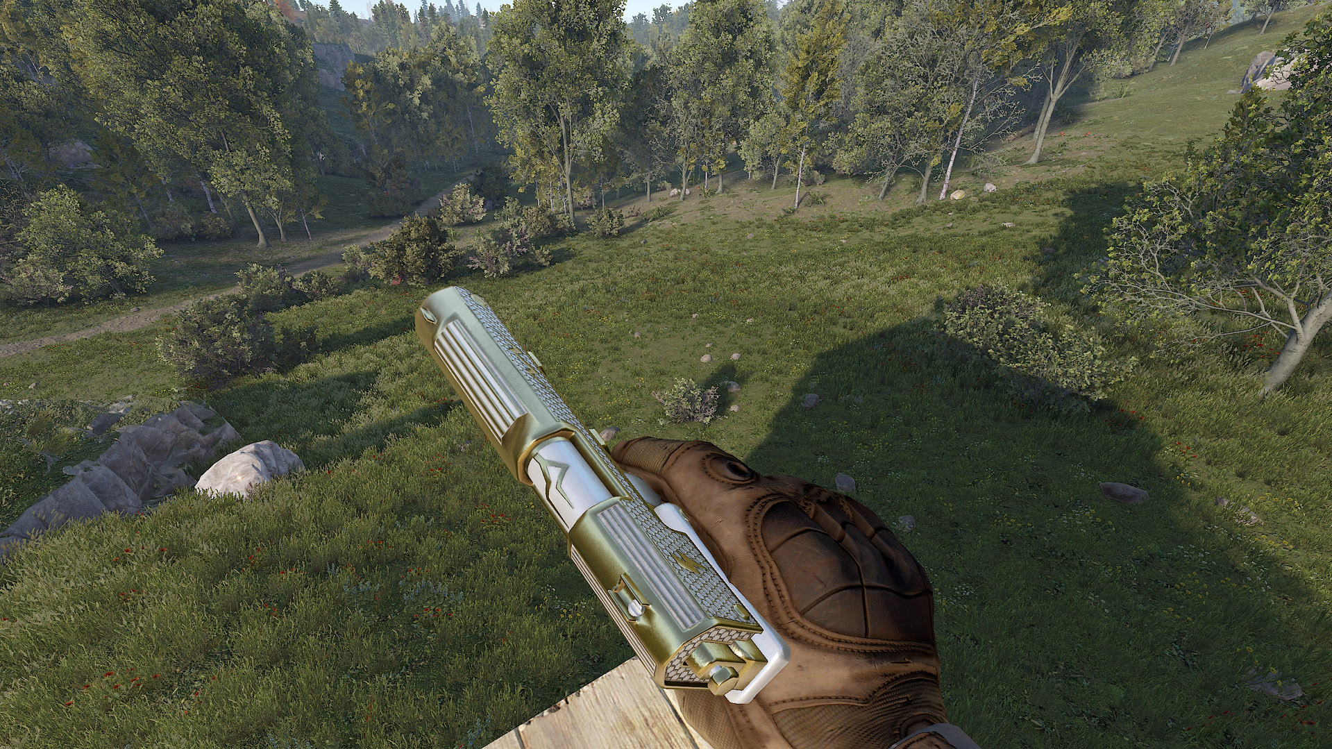 Thundergold SAP
