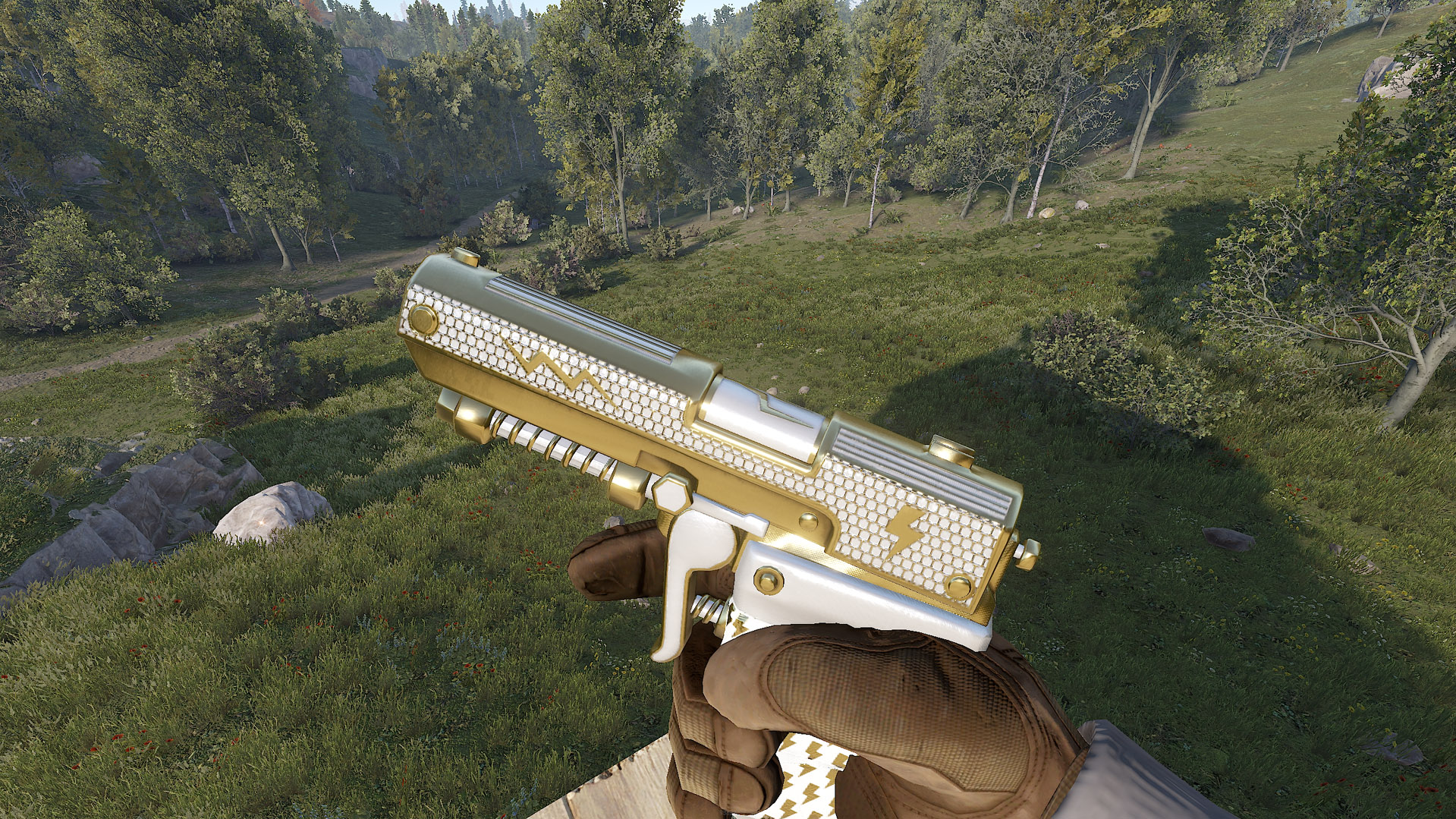 Thundergold SAP