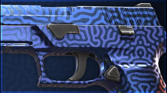 P250 | Hades