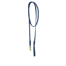 Dog Leash (blue)