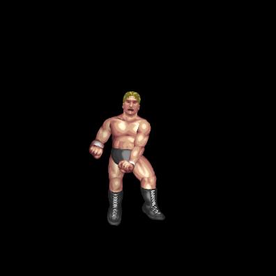Superkick D - Sweet Chin Music (C2C)