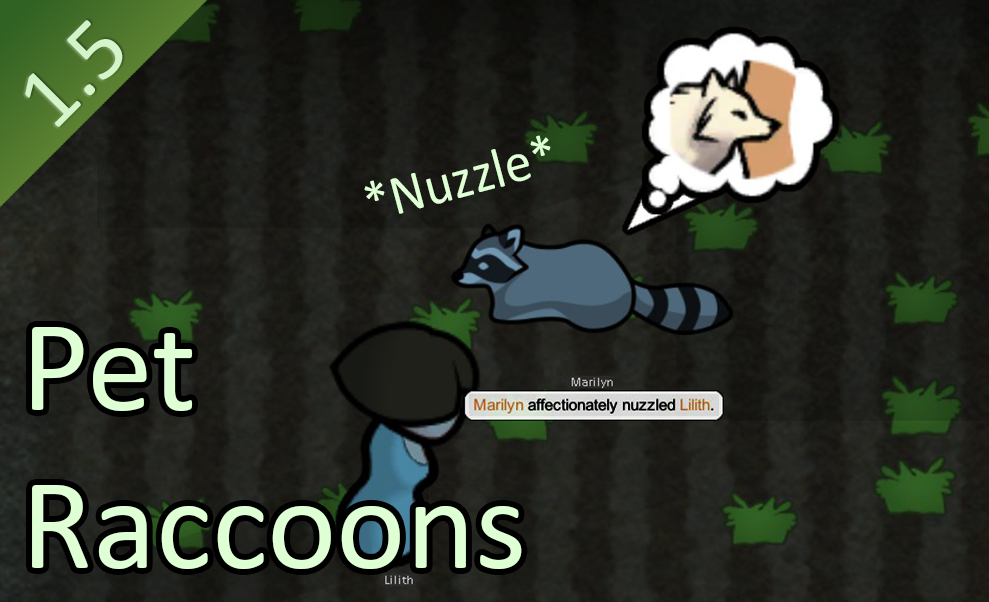 Pet Raccoons