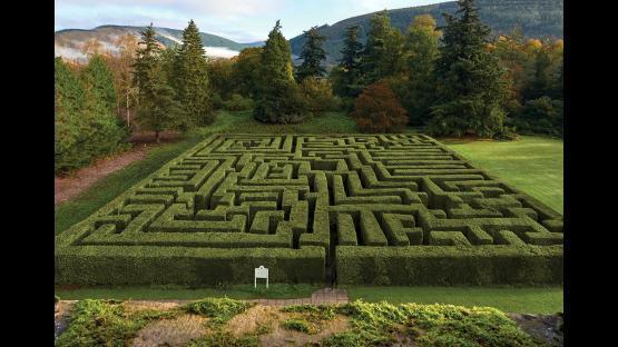 A Maze Ting – Counter-Strike 2 Mod