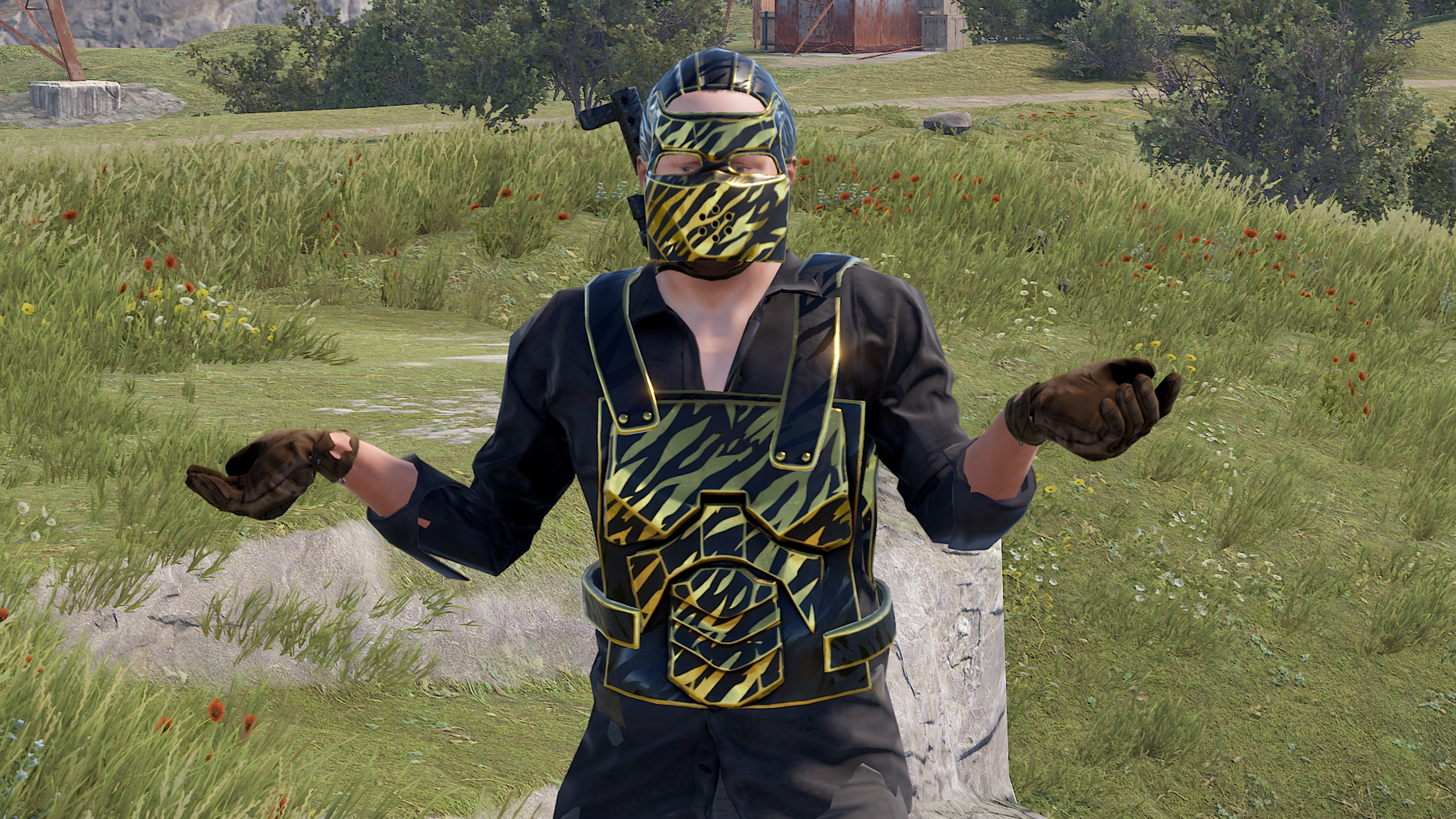 Royal Safari Chestplate