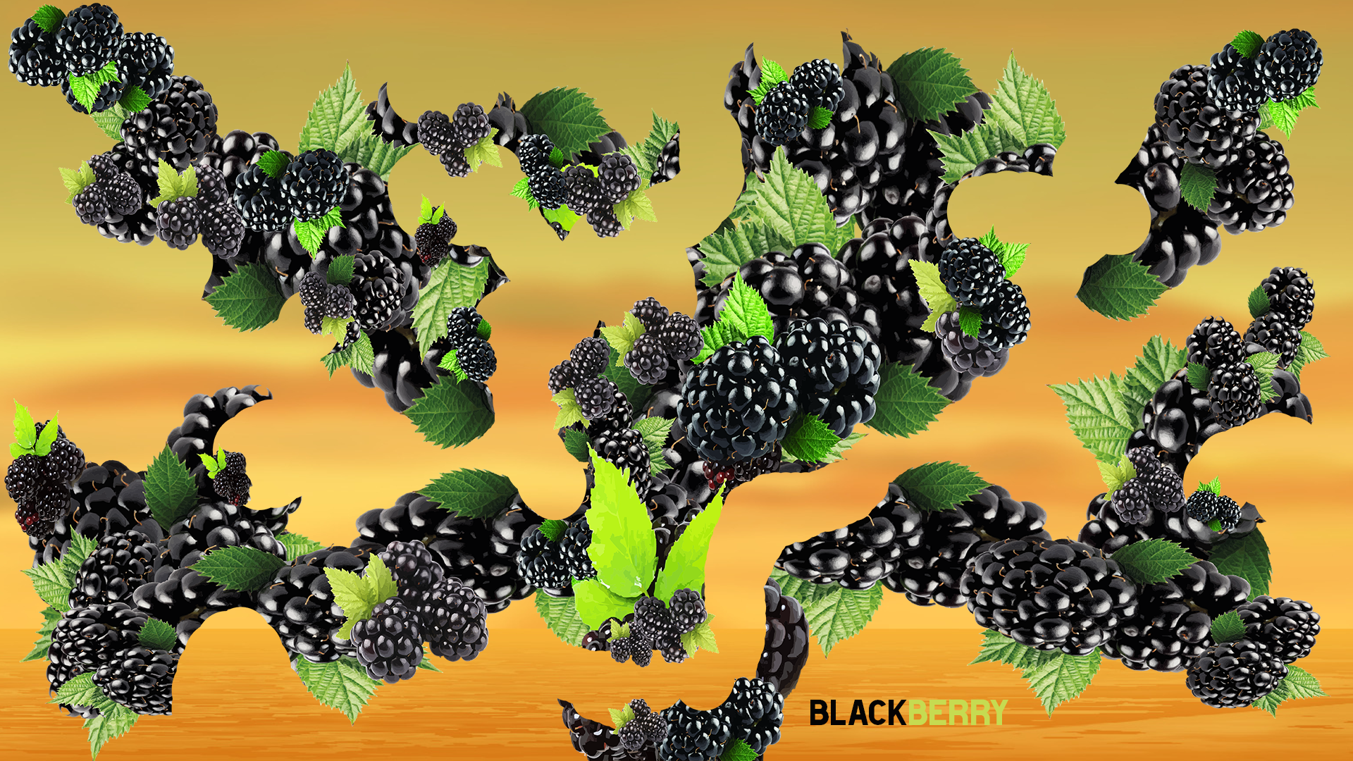 Bramen (BlackBerries)