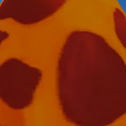 eggs