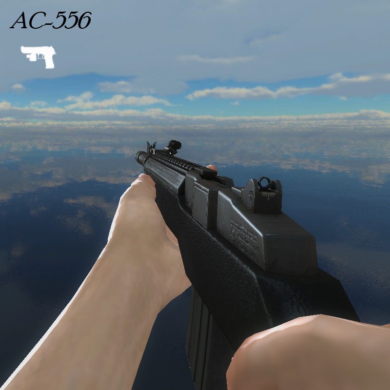 AC-556 (Magnum/Deagle)
