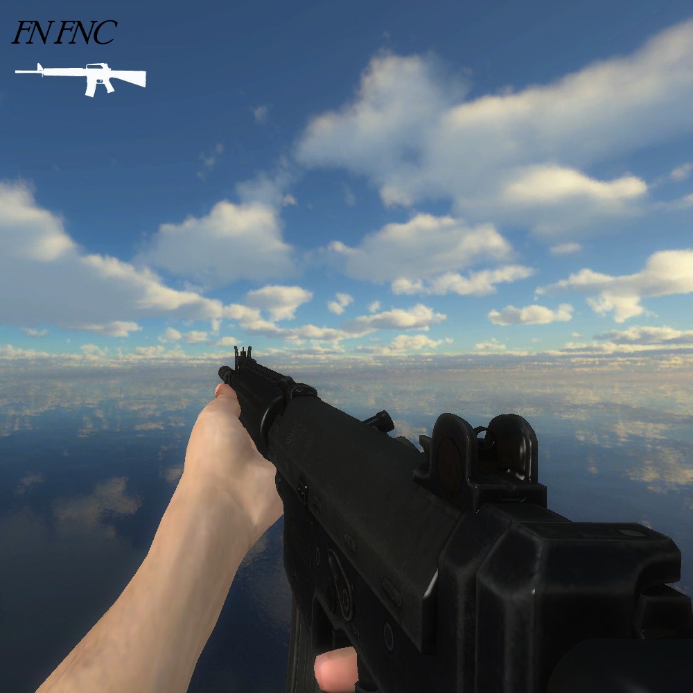 FN FNC (M16)
