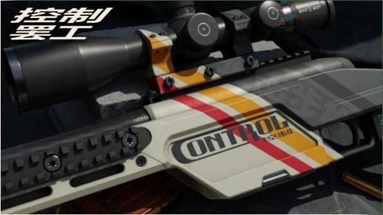 SSG 08 | Control Strike [ gray ]