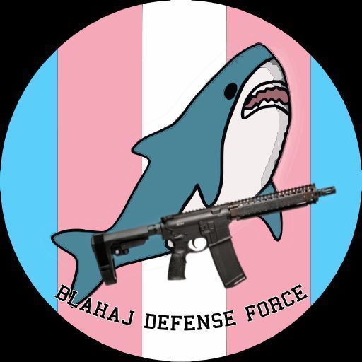 Blahaj Defense Force