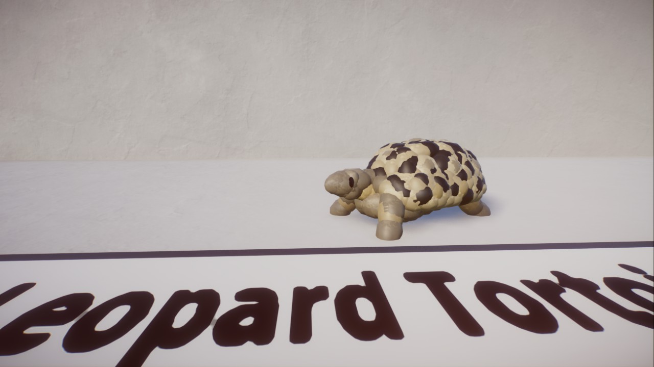 Tortoises Pack - Static Reptiles