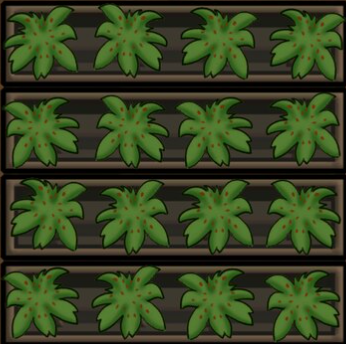 Standalone Small Cocoa