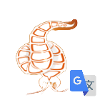 Neurax Worm: Google Translated