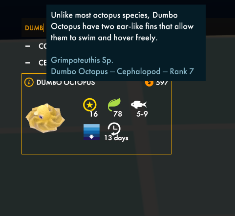 Dumbo Octopus Scientific Name
