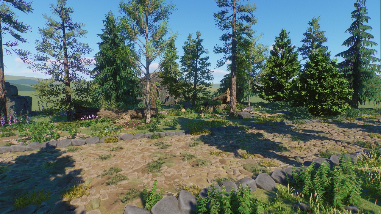 Forest Scenery 17
