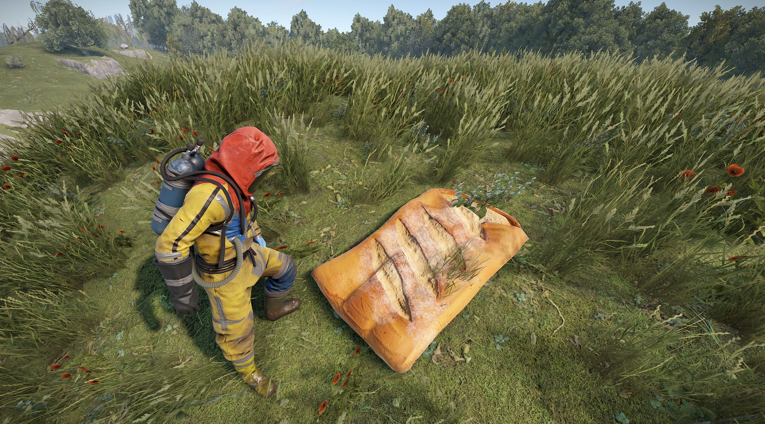 Sleeping Baguette