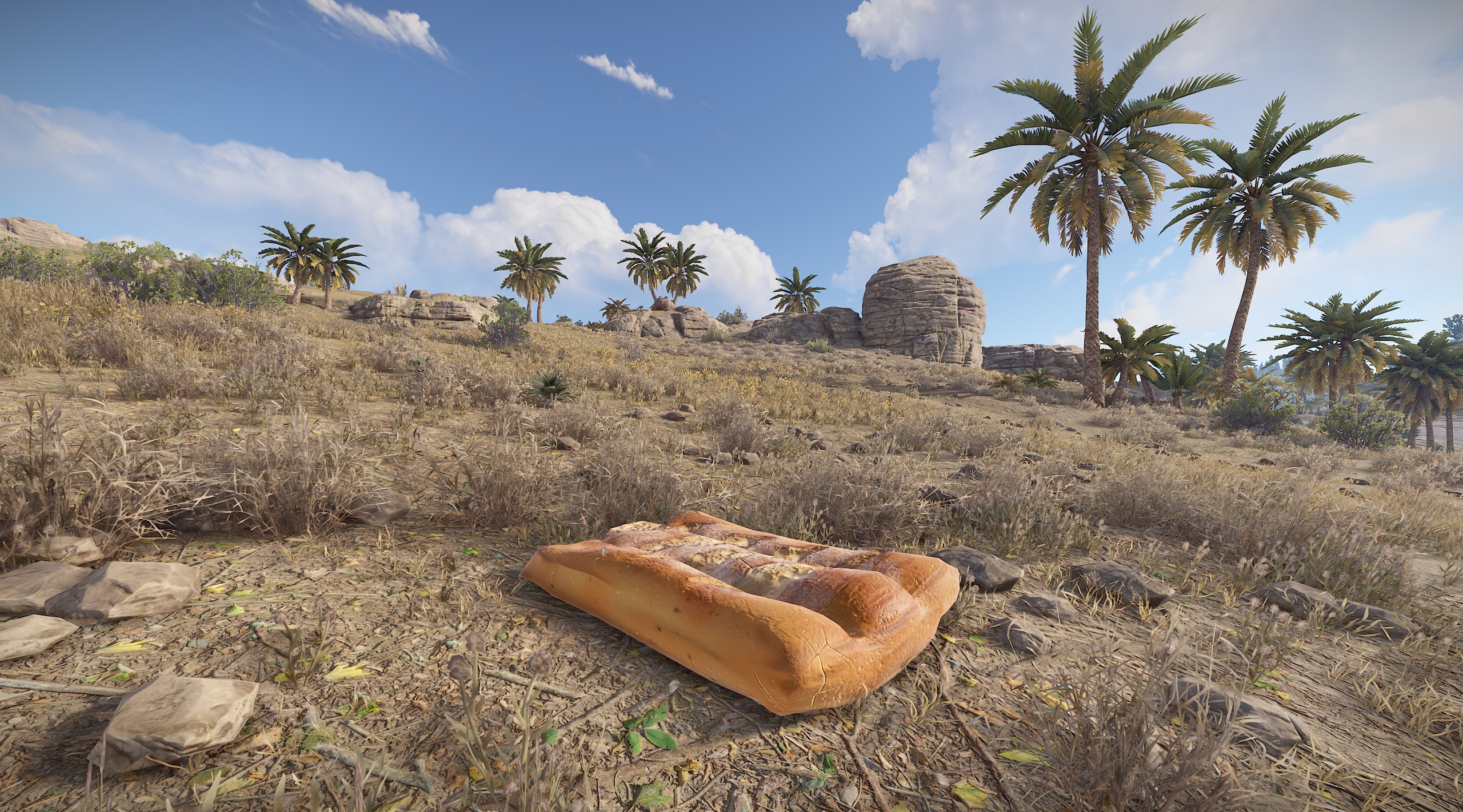 Sleeping Baguette