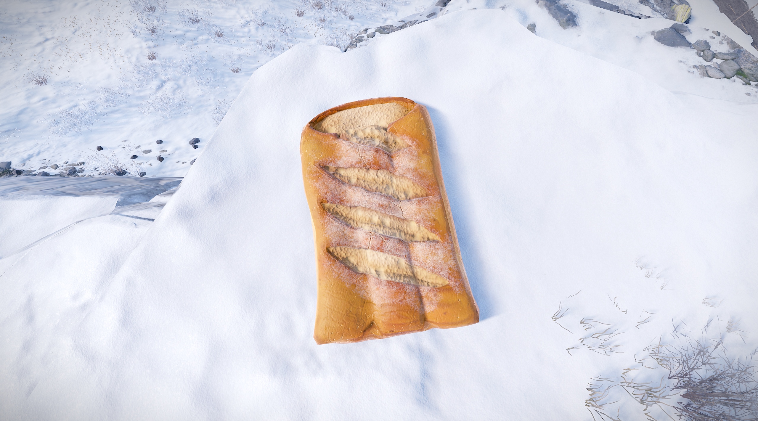 Sleeping Baguette