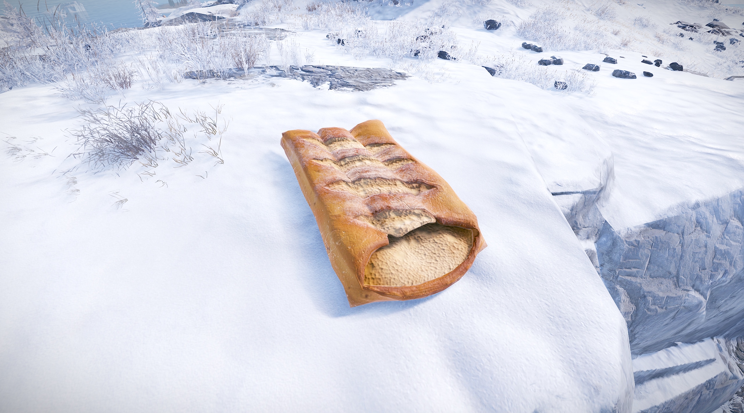 Sleeping Baguette