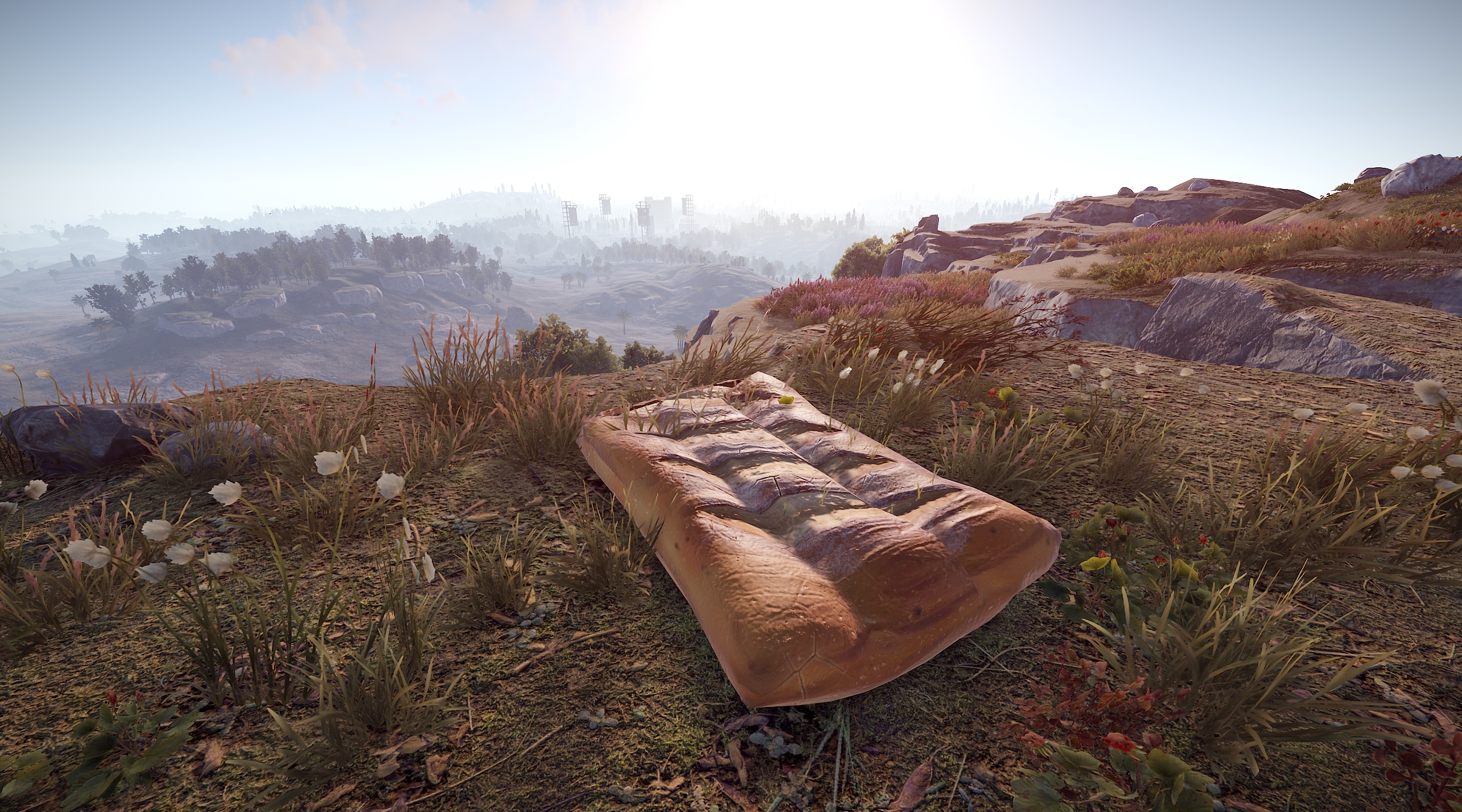 Sleeping Baguette