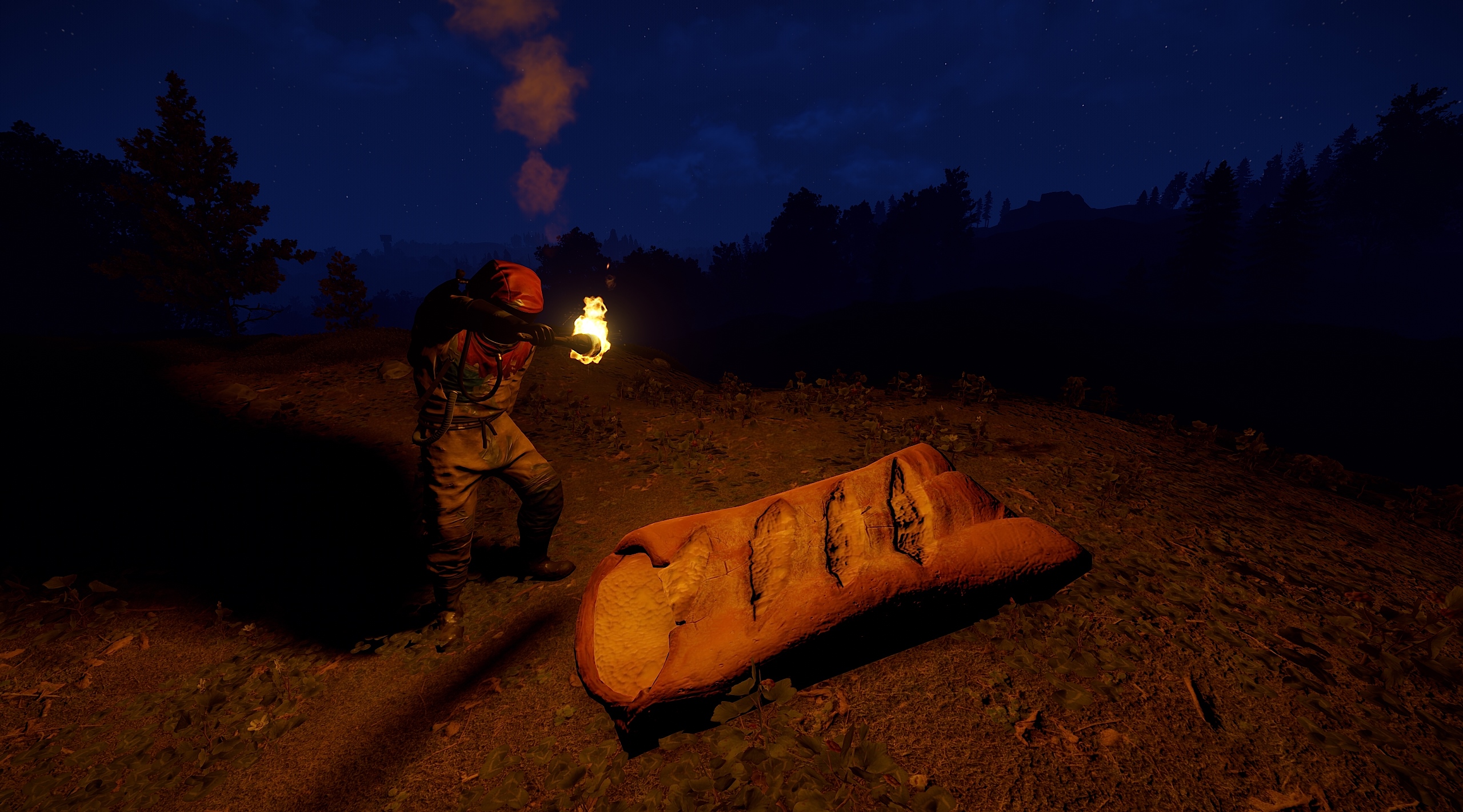 Sleeping Baguette