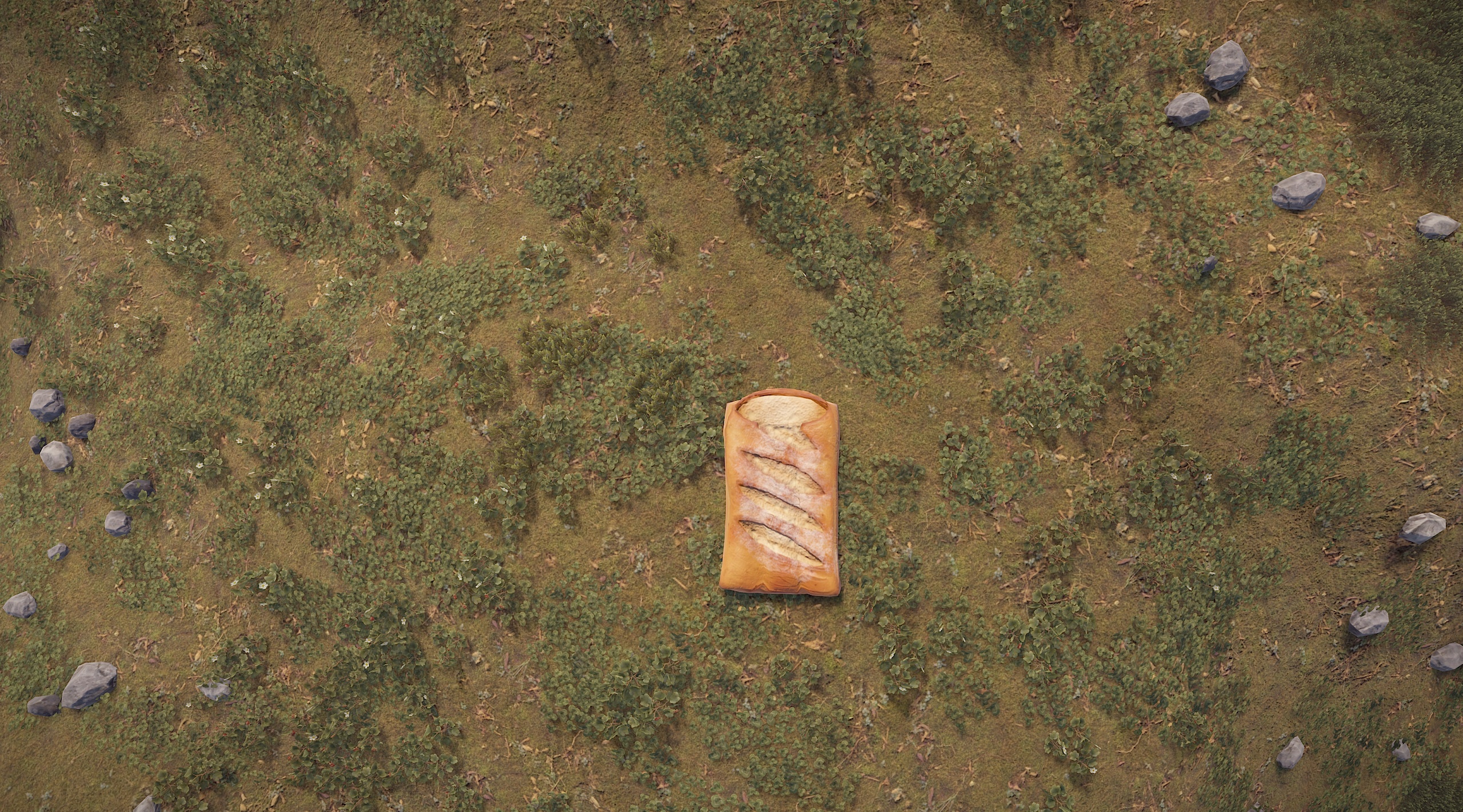 Sleeping Baguette