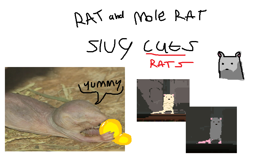 Rats in rain world!!???? [DMS mod]