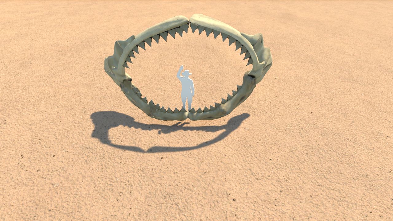 Megalodon Jaw Skeleton