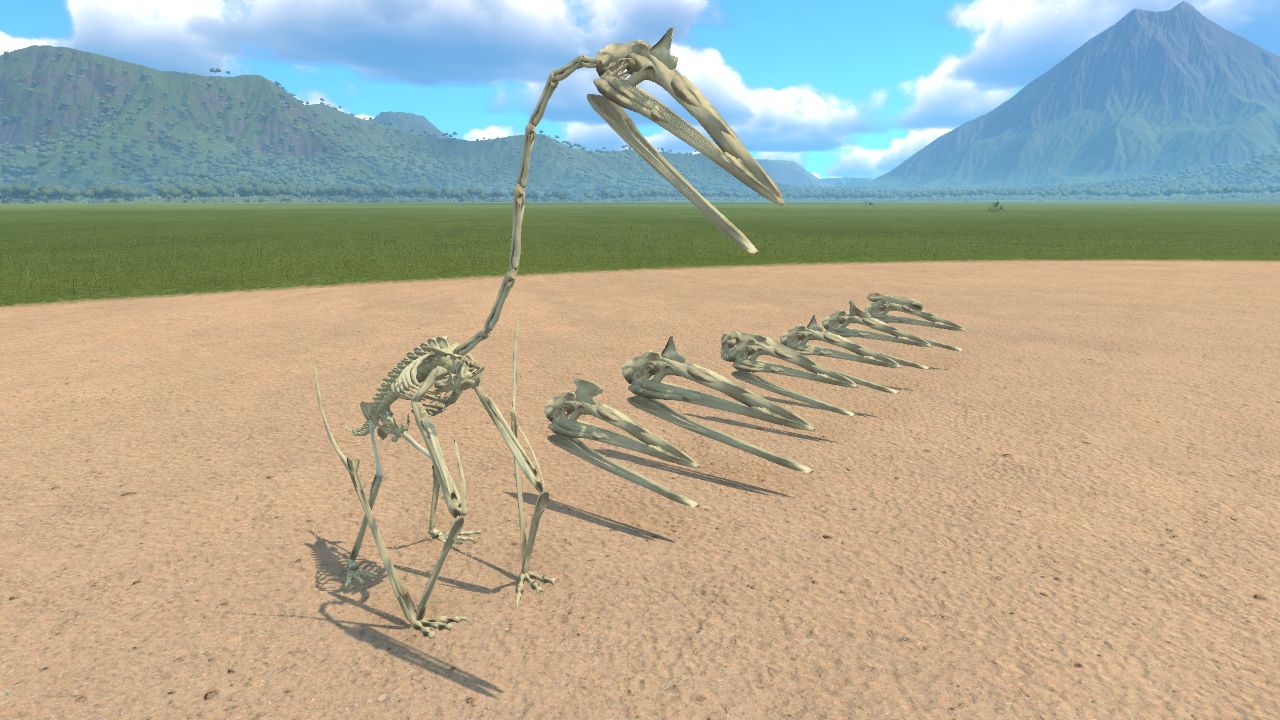 Azhdarchid Skeleton and Skulls