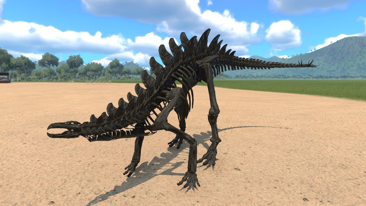 Stegosaurus Skeleton